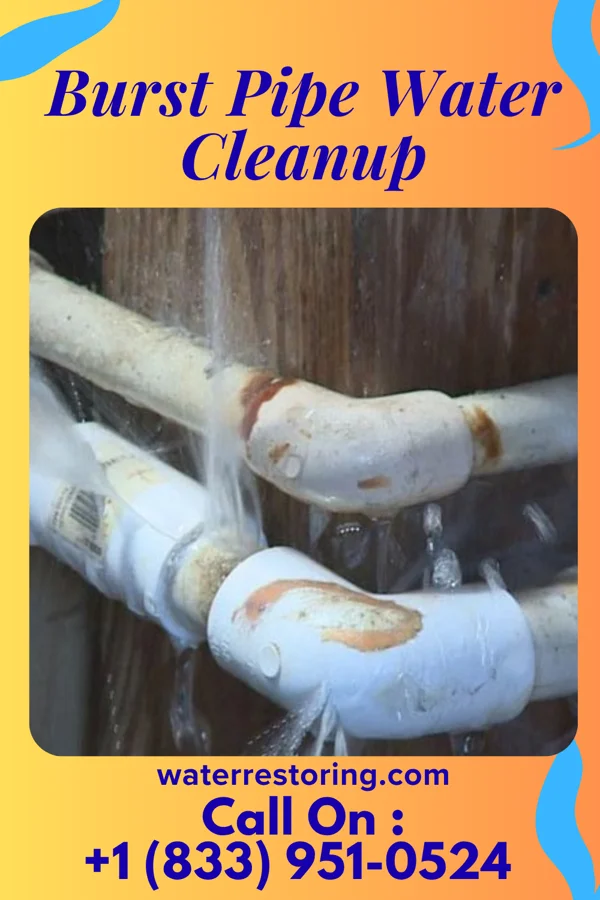 Burst Pipe Water Cleanup in Champ, MO