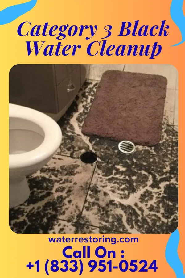 Category 3 Black Water Cleanup in Champ, MO