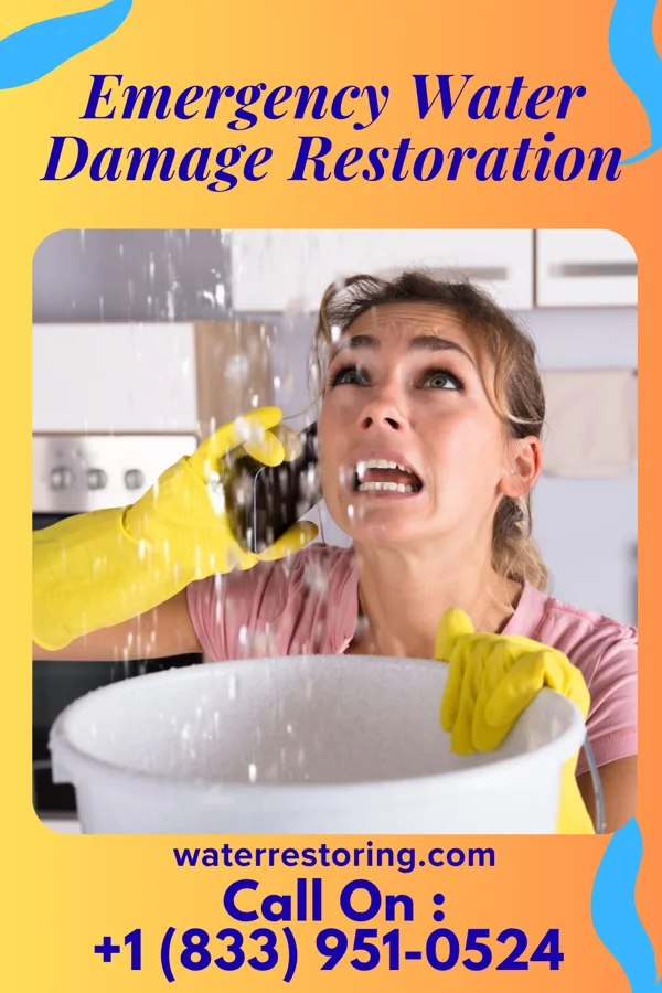 Emergency Water Damage Restoration in Champ, MO
