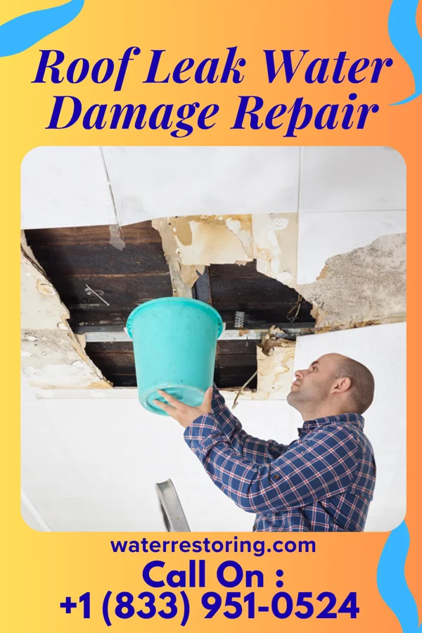 Roof Leak Water Damage Repair in Champ, MO